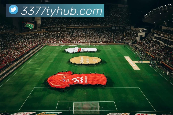 3377体育APP 封面图