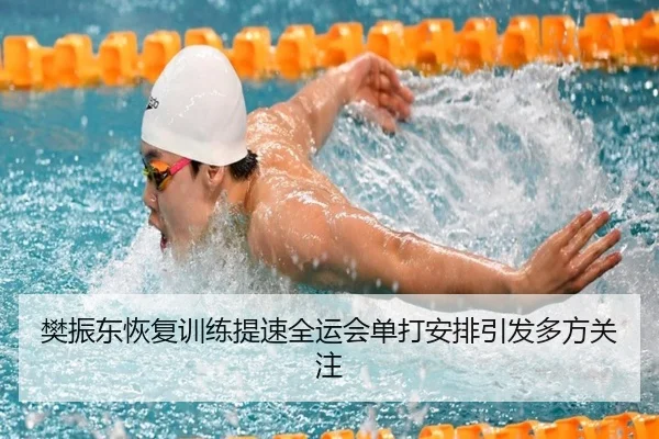 樊振东恢复训练提速全运会单打安排引发多方关注 | 3377Sports